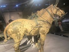 -秦始皇帝陵博物院-丽山园