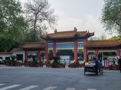 -沙市市中山公园