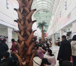 -复旦大学附属妇产科医院(杨浦院区)