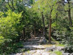 -北京鹫峰国家森林公园