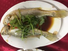 -蛇口康乐快餐鱼仔档(翠苑小区店)