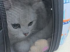 -联合动物医院(光谷诊疗中心)