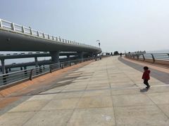 -演武大桥观景平台