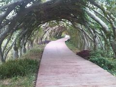 android_upload_pic-广西壮族自治区药用植物园