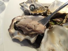 -Oyster Talks 四度蚝法餐厅