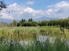 -野鸭湖国家湿地公园