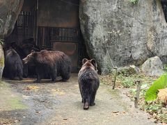 -深圳野生动物园