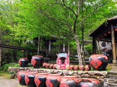 -姑婆山旅游区