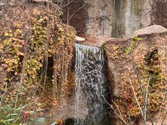 -上海动物园(地铁站)