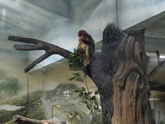 -杭州野生动物世界