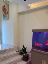 -海涛医疗美容·面部抗衰·注射美鼻