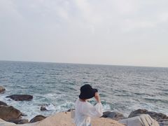 -广东惠东海龟国家级自然保护区