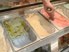 -极拉图·现制冰淇淋(大卫城店)