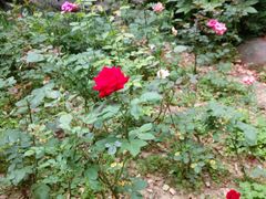 -山明水秀大饭店