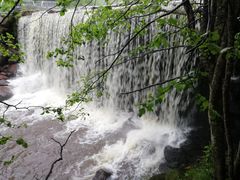 -汤旺河林海奇石景区