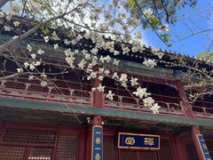 -潭柘寺景区