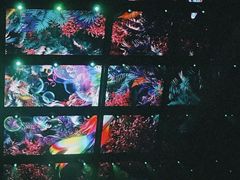 -华中科技大学光谷体育馆