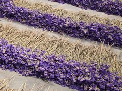 -chi K11艺术空间展览厅