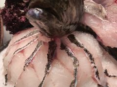 -红鼎豆捞·非遗鲍皇汤火锅(宝丰路店)