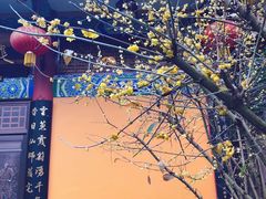 -都江堰普照寺