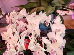 -万顺啤酒屋(皇寺路店)