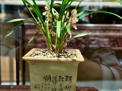 -上海植物园-4号门售票处