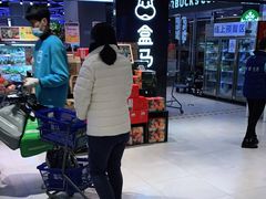 -盒马鲜生(大成店)