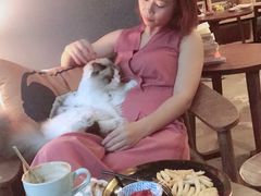 -咖法森林·咖啡  酒吧(天河店)