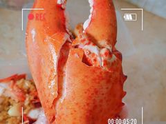 -强记龙虾钳(定安里店)