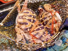 -新金盛·海鲜酒楼(盐田店)