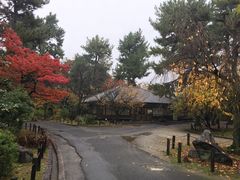-名古屋城