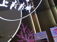 -SFC上影影城(港汇永华IMAX激光店)
