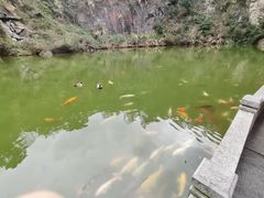 -水濂山森林公园