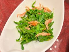 -上海雅居乐万豪侯爵酒店