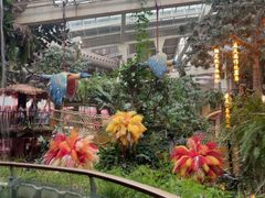 -正佳雨林生态植物园
