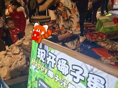 -风云岭森林公园