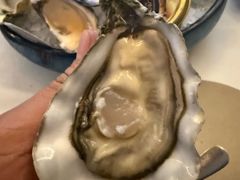-斯普汇生蚝牛排馆(中骏世界城店)
