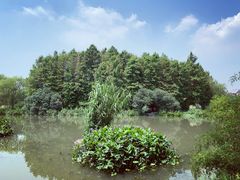 -新江湾城公园