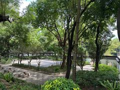 -九龙寨城公园