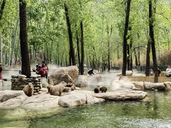 -北京野生动物园