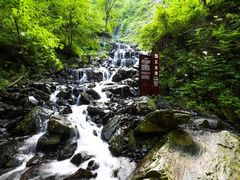 -凤凰山国家森林公园