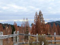 -神户市立六甲山牧场