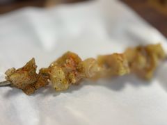 -新疆阿力烧烤