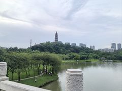 -顺峰山公园