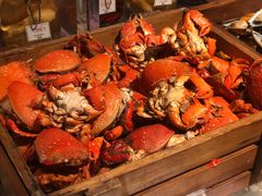 -味餐厅·海鲜·火锅·自助餐