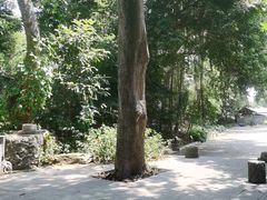 -伊岭岩风景区