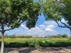 -平湖九龙山旅游度假区