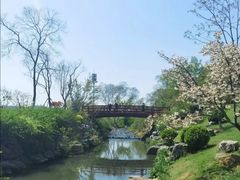 -羊山湖公园