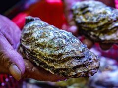 -巽寮印象美食部落餐厅·海鲜·地方特色菜(惠州体验店)