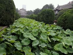 -四川大学(华西校区)